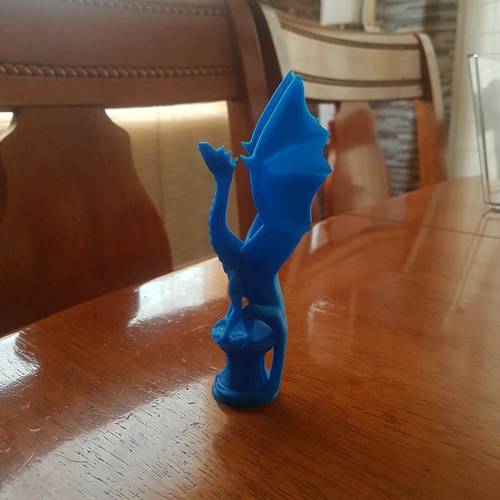 Aria the Dragon 3D Print 24583 Aria the Dragon 3D Print 24583