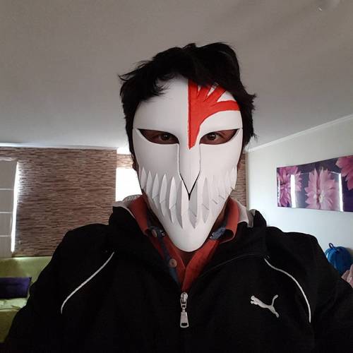 Bleach Mask 3D Print 24608 Bleach Mask 3D Print 24608