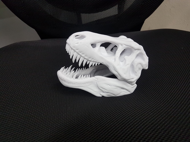 The T-Rex Skull 3D Print 24612 The T-Rex Skull 3D Print 24612