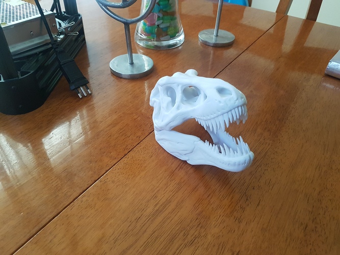 The T-Rex Skull 3D Print 24615 The T-Rex Skull 3D Print 24615