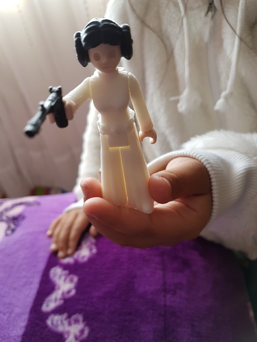 Princess leia 3D Print 24675 Princess leia 3D Print 24675