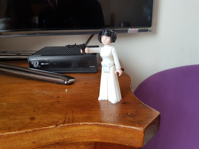 Princess leia 3D Print 24676 Princess leia 3D Print 24676