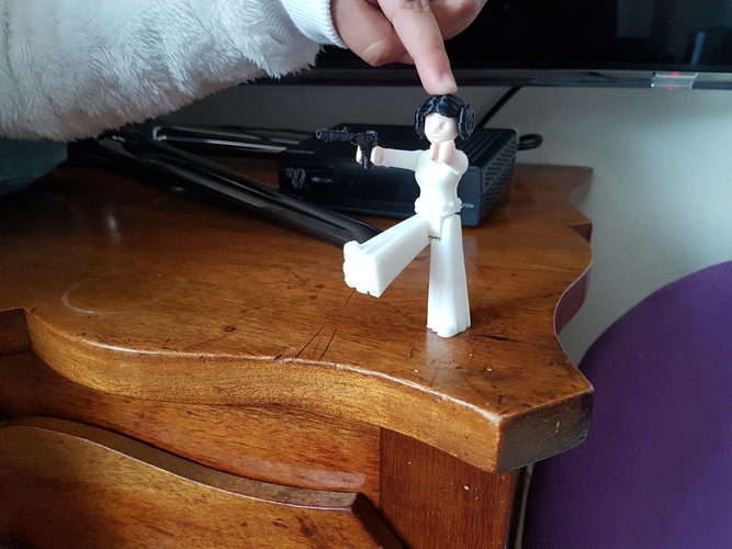 Princess leia 3D Print 24677 Princess leia 3D Print 24677