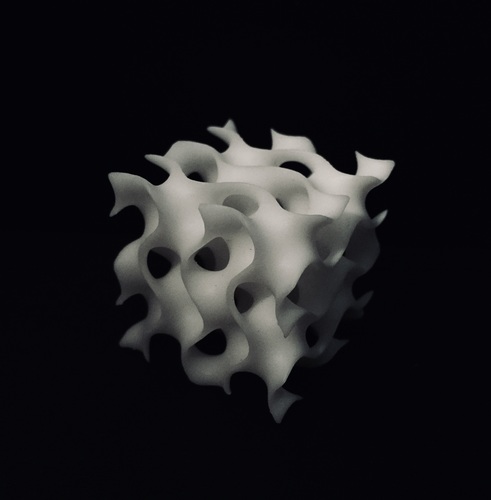 Gyroid Cube 3D Print 24796 Gyroid Cube 3D Print 24796
