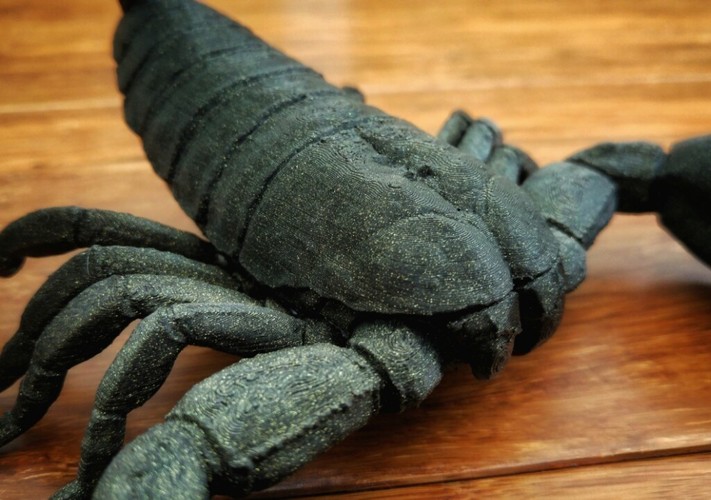 Scorpion 3D Print Model 3D Print 24876 Scorpion 3D Print Model 3D Print 24876