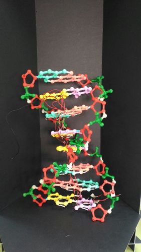 Building a DNA chain 3D Print 25129 Building a DNA chain 3D Print 25129