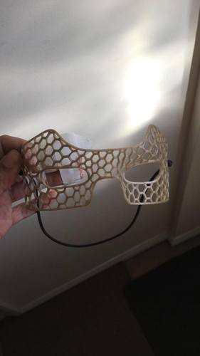 3Do it Masks 3D Print 25233 3Do it Masks 3D Print 25233