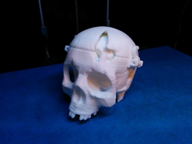 Boneheads: Skull Box w/ Brain - via 3DKitbash.com 3D Print 2545 Boneheads: Skull Box w/ Brain - via 3DKitbash.com 3D Print 2545