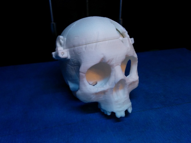 Boneheads: Skull Box w/ Brain - via 3DKitbash.com 3D Print 2546 Boneheads: Skull Box w/ Brain - via 3DKitbash.com 3D Print 2546