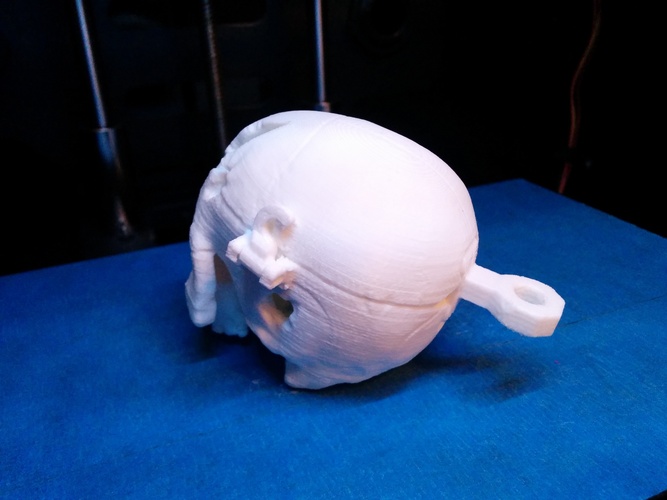Boneheads: Skull Box w/ Brain - via 3DKitbash.com 3D Print 2547 Boneheads: Skull Box w/ Brain - via 3DKitbash.com 3D Print 2547