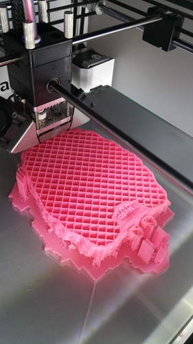 Camermaid E.B. 3D Print 2596 Camermaid E.B. 3D Print 2596