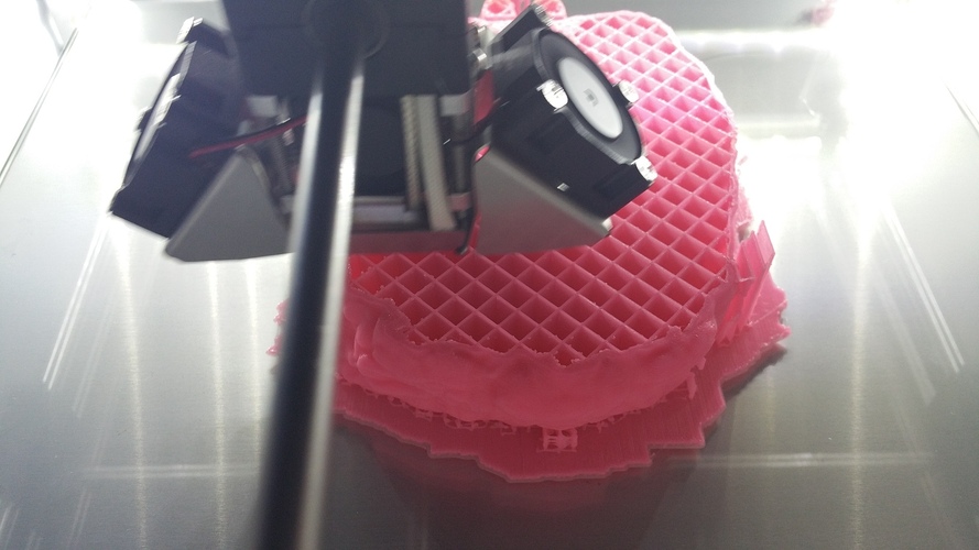 Camermaid E.B. 3D Print 2602 Camermaid E.B. 3D Print 2602