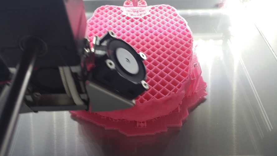 Camermaid E.B. 3D Print 2603 Camermaid E.B. 3D Print 2603