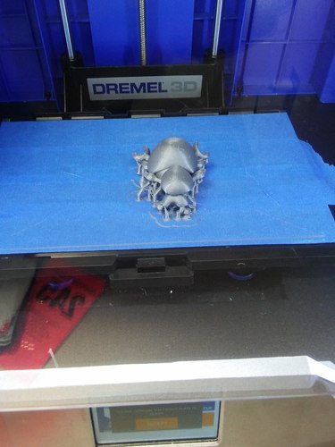Tony Tony Chopper 3D Print 26207 Tony Tony Chopper 3D Print 26207