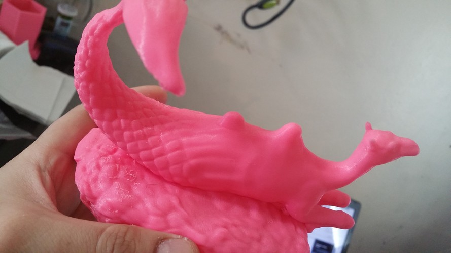 Camermaid E.B. 3D Print 2625 Camermaid E.B. 3D Print 2625