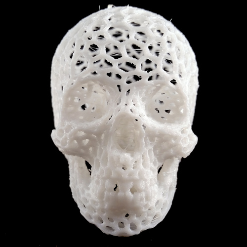 Skull lamps - Voronoi Style 3D Print 2640 Skull lamps - Voronoi Style 3D Print 2640
