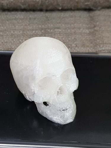 Skull 3D Print 26750 Skull 3D Print 26750