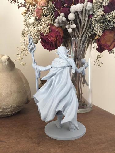 Mage Elf 3D Print 27096 Mage Elf 3D Print 27096