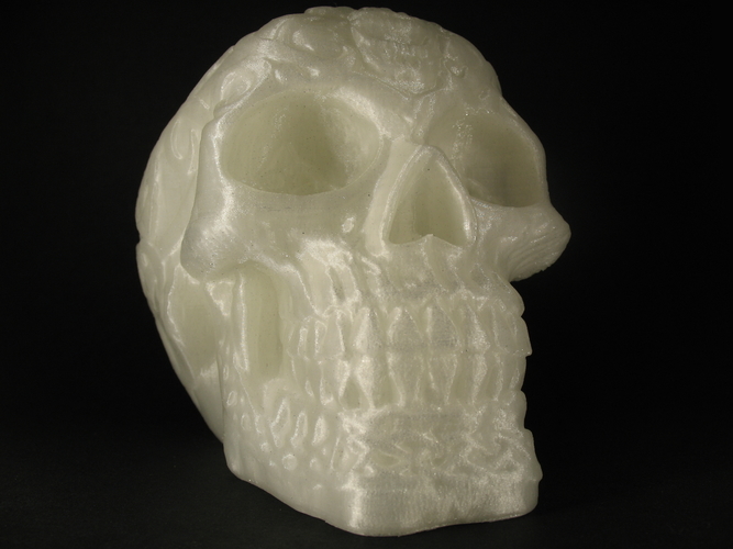 Skull-engraving 3D Print 27649 Skull-engraving 3D Print 27649