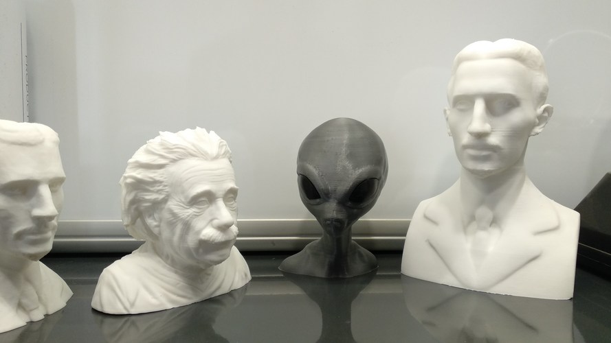Einstein Bust (14K) 3D Print 29101 Einstein Bust (14K) 3D Print 29101
