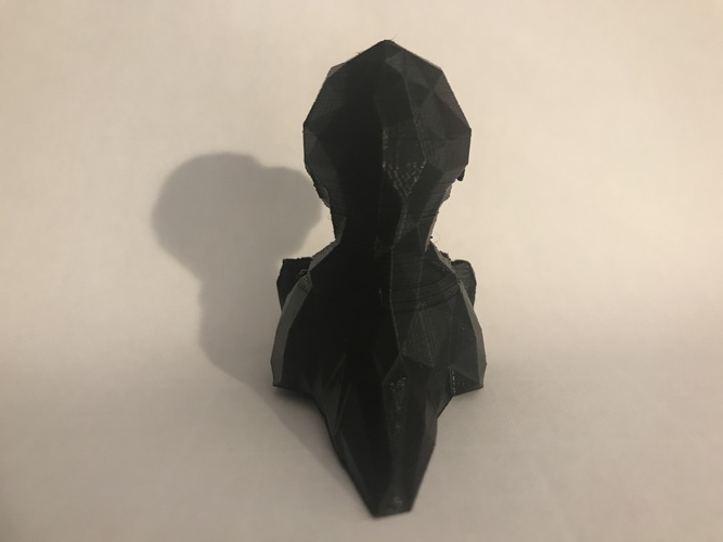 Low Poly T-rex 3D Print 29441 Low Poly T-rex 3D Print 29441