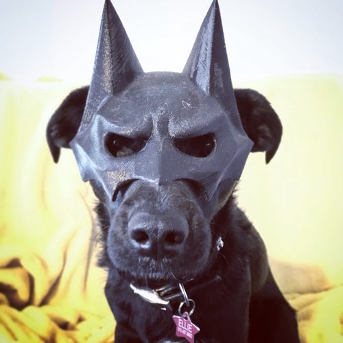 BatCat Mask 3D Print 30077 BatCat Mask 3D Print 30077