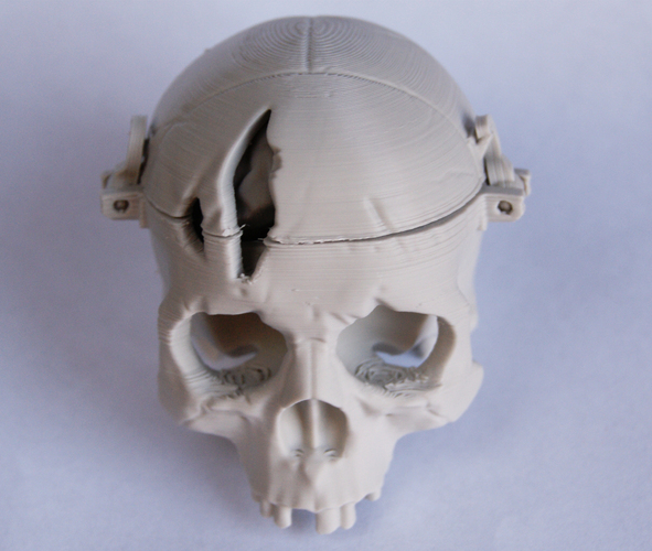 Boneheads: Skull Box w/ Brain - via 3DKitbash.com 3D Print 3183 Boneheads: Skull Box w/ Brain - via 3DKitbash.com 3D Print 3183