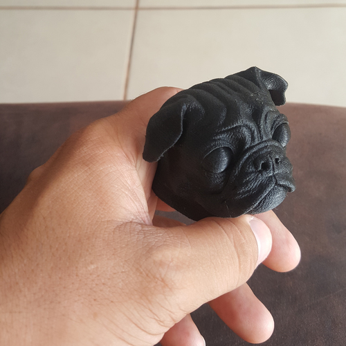 Pug dog realistic model, splited and ready for 3d print 3D Print 33899 Pug dog realistic model, splited and ready for 3d print 3D Print 33899