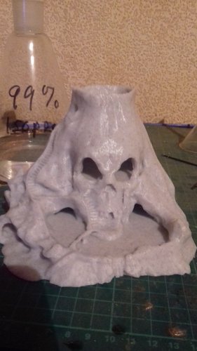Skull Island 3D Print 34894 Skull Island 3D Print 34894