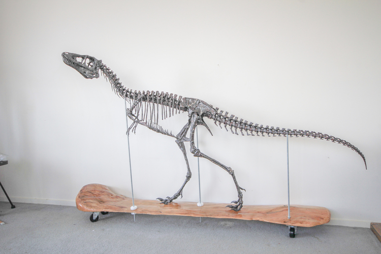 Life size baby T-rex skeleton - Part 01/10 3D Print 34926 Life size baby T-rex skeleton - Part 01/10 3D Print 34926