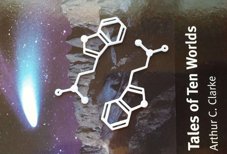 DMT Molecule Earings/Neclace 3D Print 35025 DMT Molecule Earings/Neclace 3D Print 35025