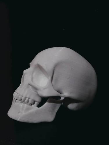 Cyborg Panther 3D Print 35299 Cyborg Panther 3D Print 35299