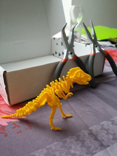 DinoPuzzle 3D Print 3699 DinoPuzzle 3D Print 3699