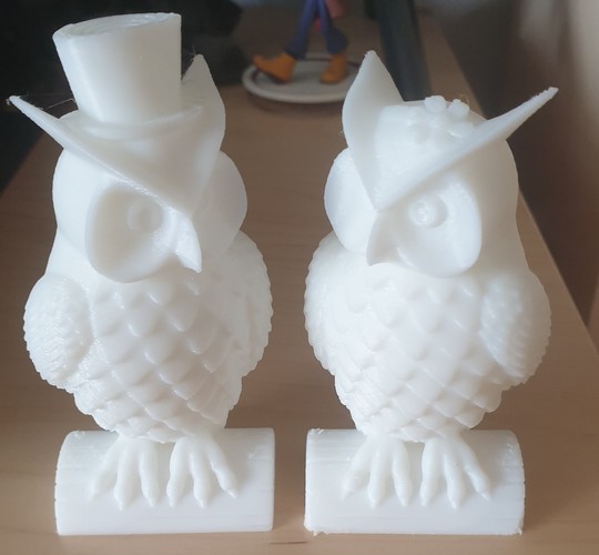 His_and_Her_Owls 3D Print 39387 His_and_Her_Owls 3D Print 39387