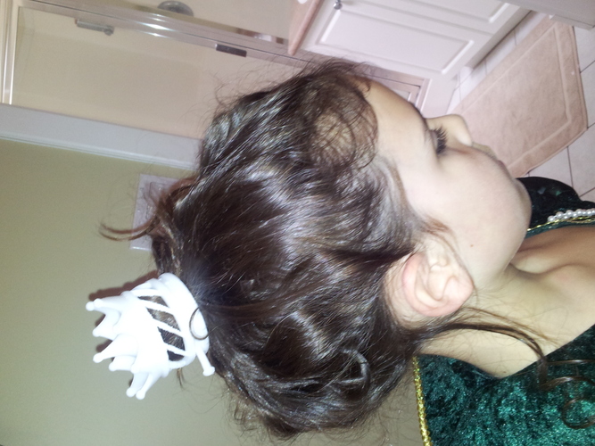 Check Mate - single spiral - Crown hairpin 3D Print 399 Check Mate - single spiral - Crown hairpin 3D Print 399