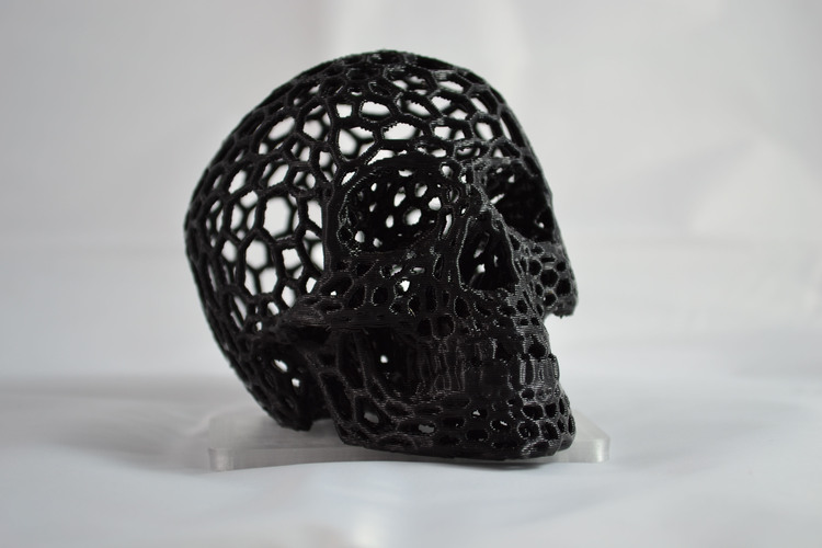 Skull lamps - Voronoi Style 3D Print 4373 Skull lamps - Voronoi Style 3D Print 4373