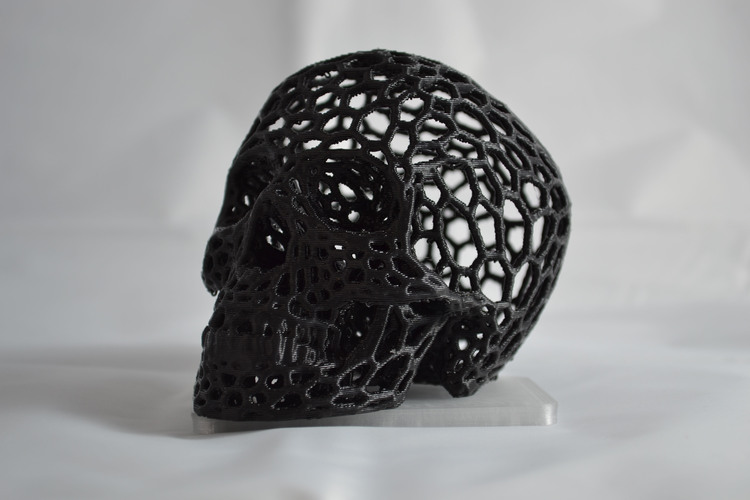 Skull lamps - Voronoi Style 3D Print 4374 Skull lamps - Voronoi Style 3D Print 4374