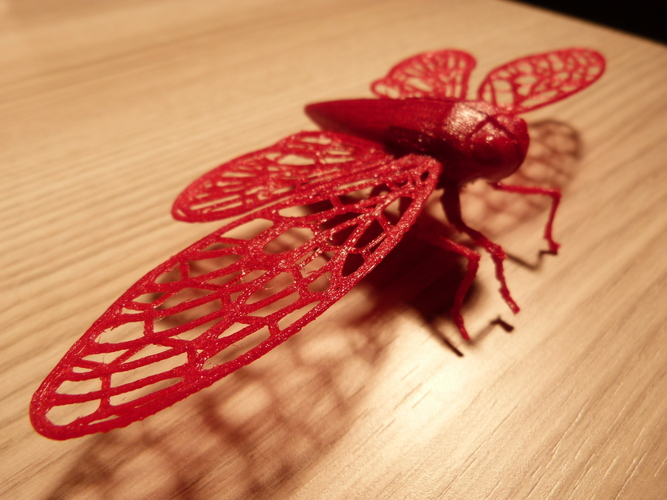 Cicade by Art of Illusion 3D Print 4504 Cicade by Art of Illusion 3D Print 4504