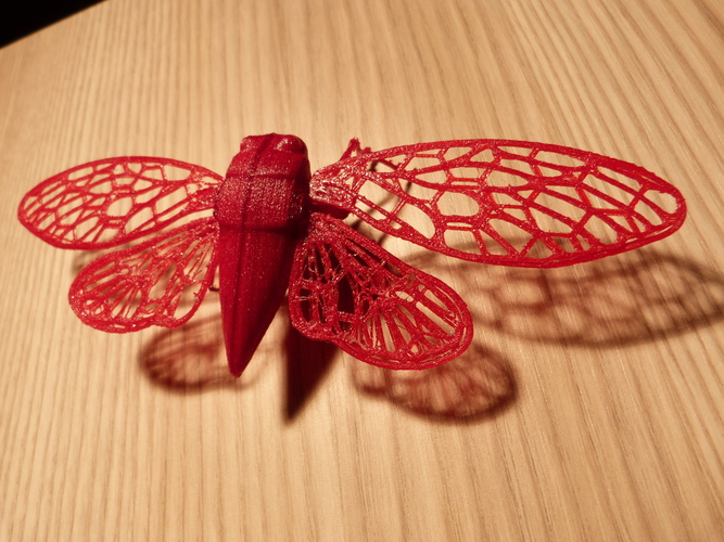 Cicade by Art of Illusion 3D Print 4505 Cicade by Art of Illusion 3D Print 4505