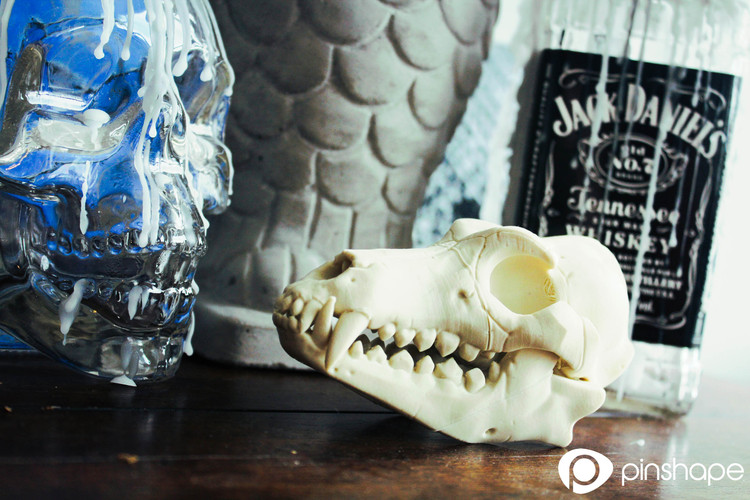Boneheads S1: Wolf Skull w/ Jaw - 3DKitbash.com 3D Print 508 Boneheads S1: Wolf Skull w/ Jaw - 3DKitbash.com 3D Print 508