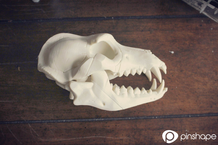 Boneheads S1: Wolf Skull w/ Jaw - 3DKitbash.com 3D Print 512 Boneheads S1: Wolf Skull w/ Jaw - 3DKitbash.com 3D Print 512