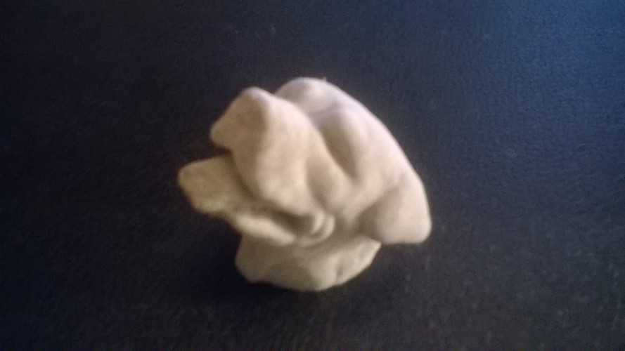 Rottweiler dog head 3D Print 5276 Rottweiler dog head 3D Print 5276