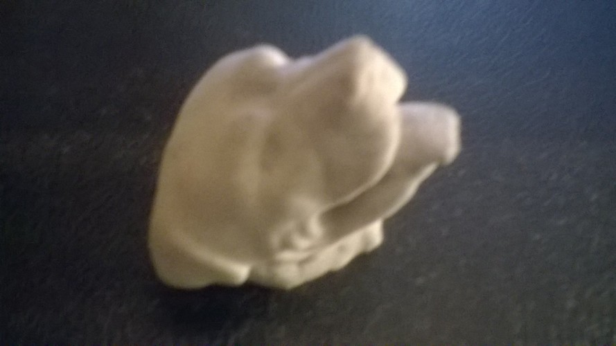 Rottweiler dog head 3D Print 5277 Rottweiler dog head 3D Print 5277