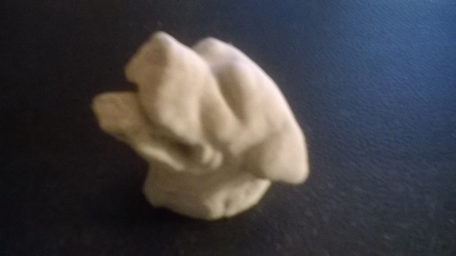 Rottweiler dog head 3D Print 5278 Rottweiler dog head 3D Print 5278