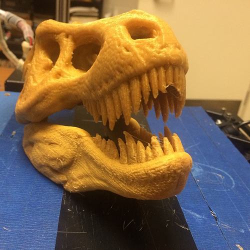The T-Rex Skull 3D Print 5322 The T-Rex Skull 3D Print 5322