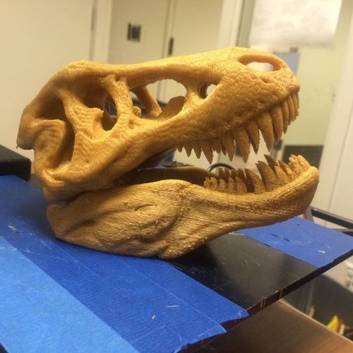 The T-Rex Skull 3D Print 5323 The T-Rex Skull 3D Print 5323