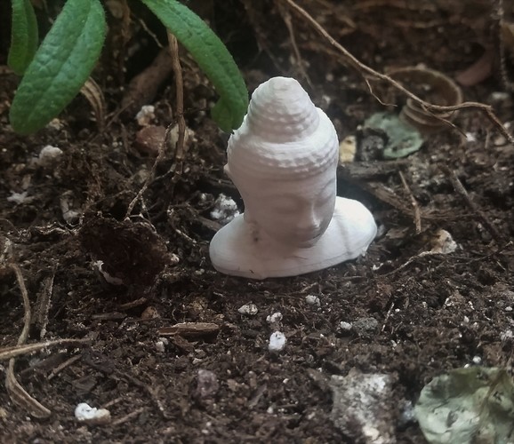 budda 3D Print 6112 budda 3D Print 6112