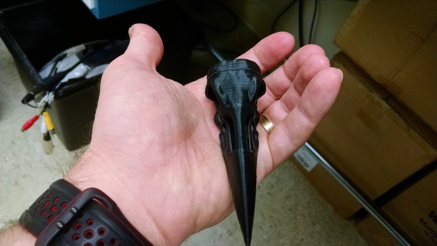 Boneheads: Raven - Skull Kit - PROMO - 3DKitbash.com 3D Print 6391 Boneheads: Raven - Skull Kit - PROMO - 3DKitbash.com 3D Print 6391