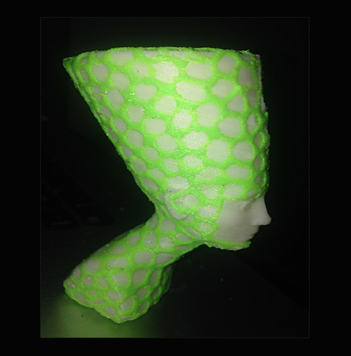 Nefertiti-Dual-color 3D Print 6607 Nefertiti-Dual-color 3D Print 6607