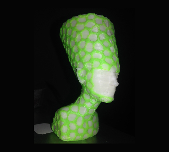 Nefertiti-Dual-color 3D Print 6608 Nefertiti-Dual-color 3D Print 6608